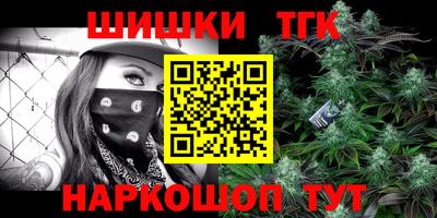 индика Обь