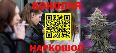 индика Обь