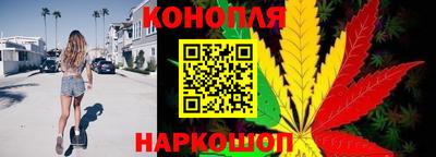 индика Обь