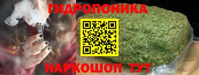 индика Обь