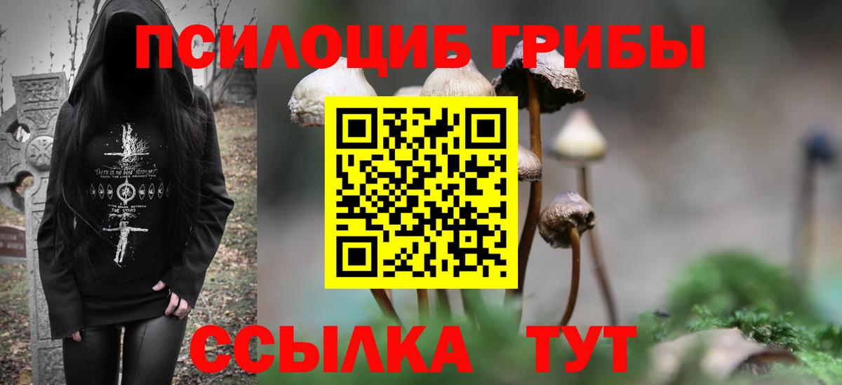 Северобайкальск  Галлюциногенные грибы GOLDEN TEACHER  Вход с VPN 