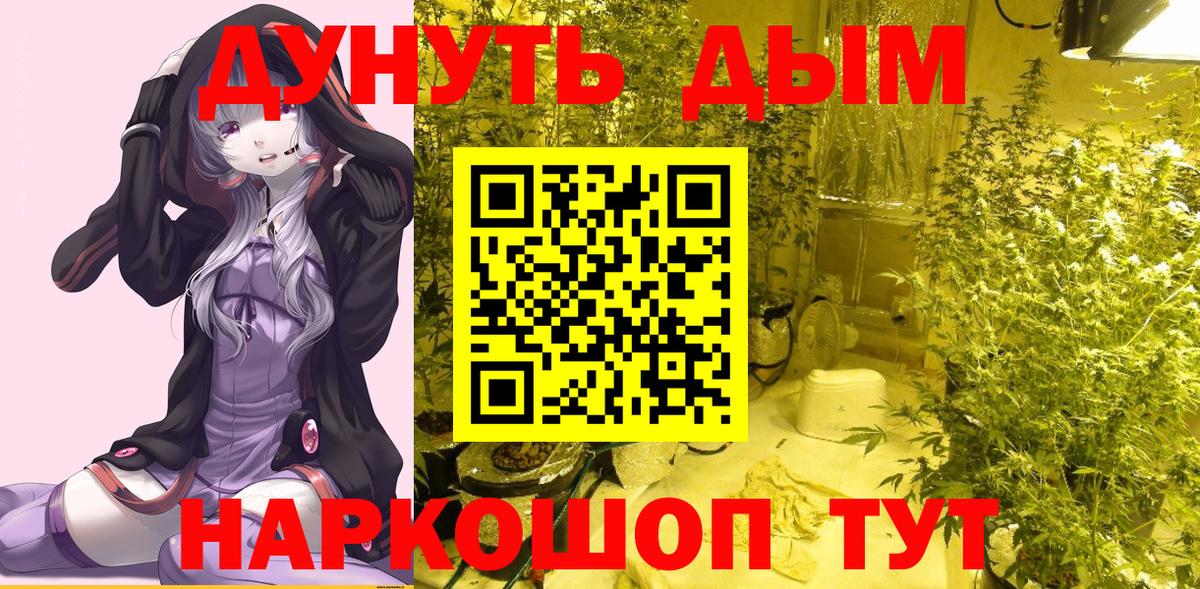 Бошки Шишки сатива  Канабис ГИДРОПОН  Вход с VPN  Северобайкальск  Бошки марихуана семена 